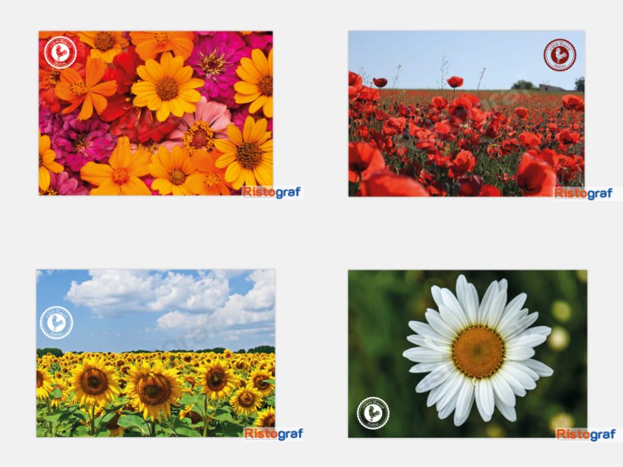 Tovagliette-personalizzate-fiori-00